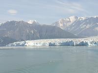 13. Tag Fahrt zum Hubbard-Gletscher (18)