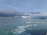 13. Tag Fahrt zum Hubbard-Gletscher (30)