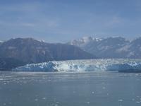 13. Tag Fahrt zum Hubbard-Gletscher (41)