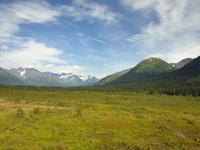 14. Tag Ankunft in Seward - Exit-Gletscher - Anchorage (24)