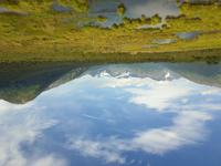 14. Tag Ankunft in Seward - Exit-Gletscher - Anchorage (25)