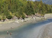 14. Tag Ankunft in Seward - Exit-Gletscher - Anchorage (26)