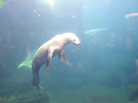 14. Tag Ankunft in Seward - Exit-Gletscher - Anchorage (37)