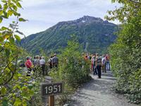 14. Tag Exit-Gletscher bei Seward