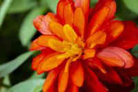 Vancouver Island – The Butchart Gardens