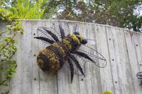 Vancouver Island – The Butchart Gardens