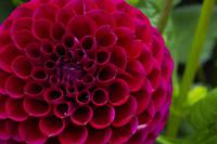 Vancouver Island – The Butchart Gardens