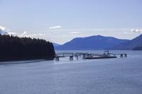 Icy Strait Point