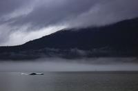 Mendenhall Gletscher