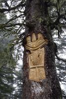 Juneau – Mount Robson