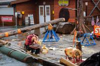 Ketchikan – Lumberjack Show
