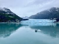 Margerie Gletscher kalbert