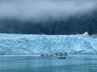 Margerie Gletscher im Glacier Bay National Park