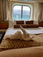 Fox du hast den Haas gestolen