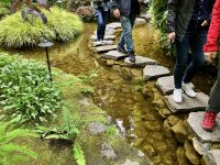 Im japanischen Garten 