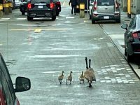 Sorry, wir muessen da mal durch