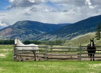 Beobachter der Hat Creek Ranch