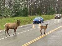 Da kommt endlich die Mama
