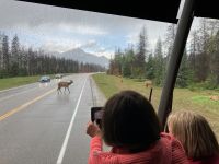 Alle bitte mal stehenbleiben, Kaffeekraenzchen is on 