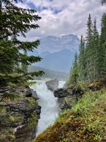 Athabasca Wasserfall mit Mt. Edith Cavell