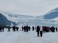 Auf dem ewigen Eis ist es kalt.!