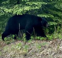 Ich hab schon heiss vor lauter Suchen, und was macht der Bus da ? 
