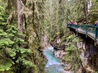 im Johnston Canyon