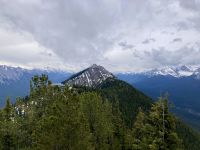 Sulphur Mountain