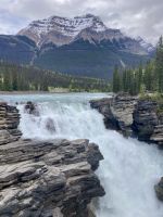 Athabasca Falls 