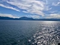 Auf See, Holland America Line