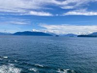 Auf See, Holland America Line