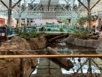 YVR der Flughafen in Vancouver