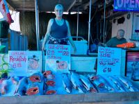 Die Fischverkaeuferin