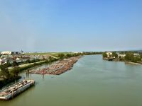 Der Fraser River mit seinem Holz