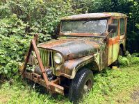 Wird der Natur zuruekgegeben