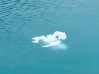 Eisschollen Gespengst