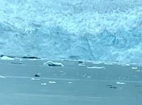 So schoen, so weiss und kalbern tut er auch gerade