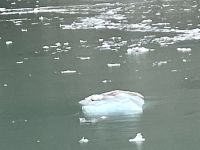 Eisschollen aller Arten