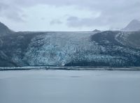 Der grandiose John Hopkins Gletscher