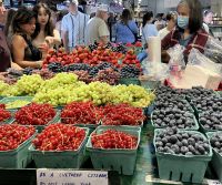 Beeren, Beeren, Trauben 