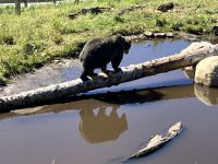 Man geht immer mit seinem eigenen Schatten