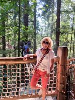 Auf dem Baumwipfel Pfad