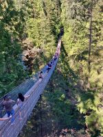 In Capilano Suspenstion Bridge Park