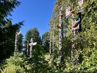 Totem Park in Stanley Park