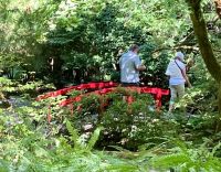 im japanischen Garten 