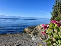 E’s Lieblingsstrand in Victoria
