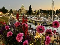 Das Parlament am Hafen 