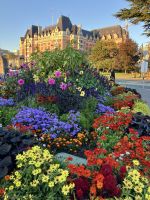 Die Blumenpracht von Victoria