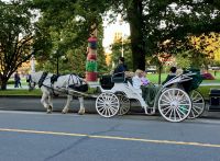 Fiakker in Victoria, BC