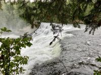 Die Dawson Falls ganz Nahe